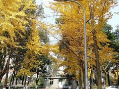 -四川大学(望江校区)