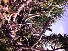 龙坑生态保护区-龙坑生态保护区