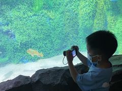 -泉城欧乐堡海洋极地世界