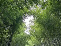 -九龙潭景区