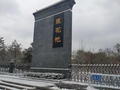 -莲花池公园
