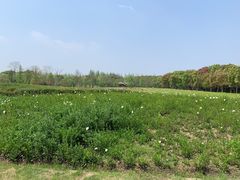 -同里国家湿地公园