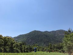 -广州市流溪河国家森林公园