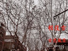 -南宋御街