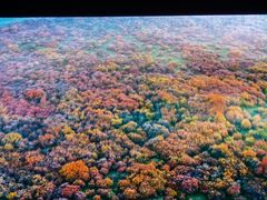 -罗红摄影艺术馆