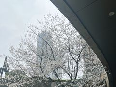 -星巴克臻选(杭州万象城店)
