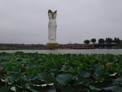 -白洋淀景区