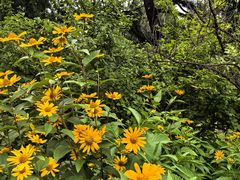 -国家植物园南园