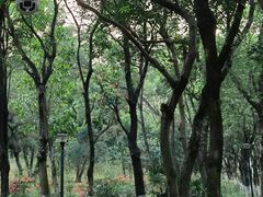 -燕晗山郊野公园