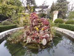 -国家图书馆·古籍馆