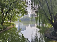 -杭州城北体育公园