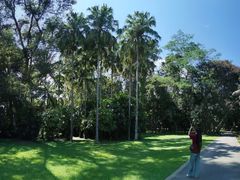 -中国科学院西双版纳热带植物园