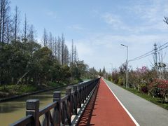 -上海长兴岛郊野公园