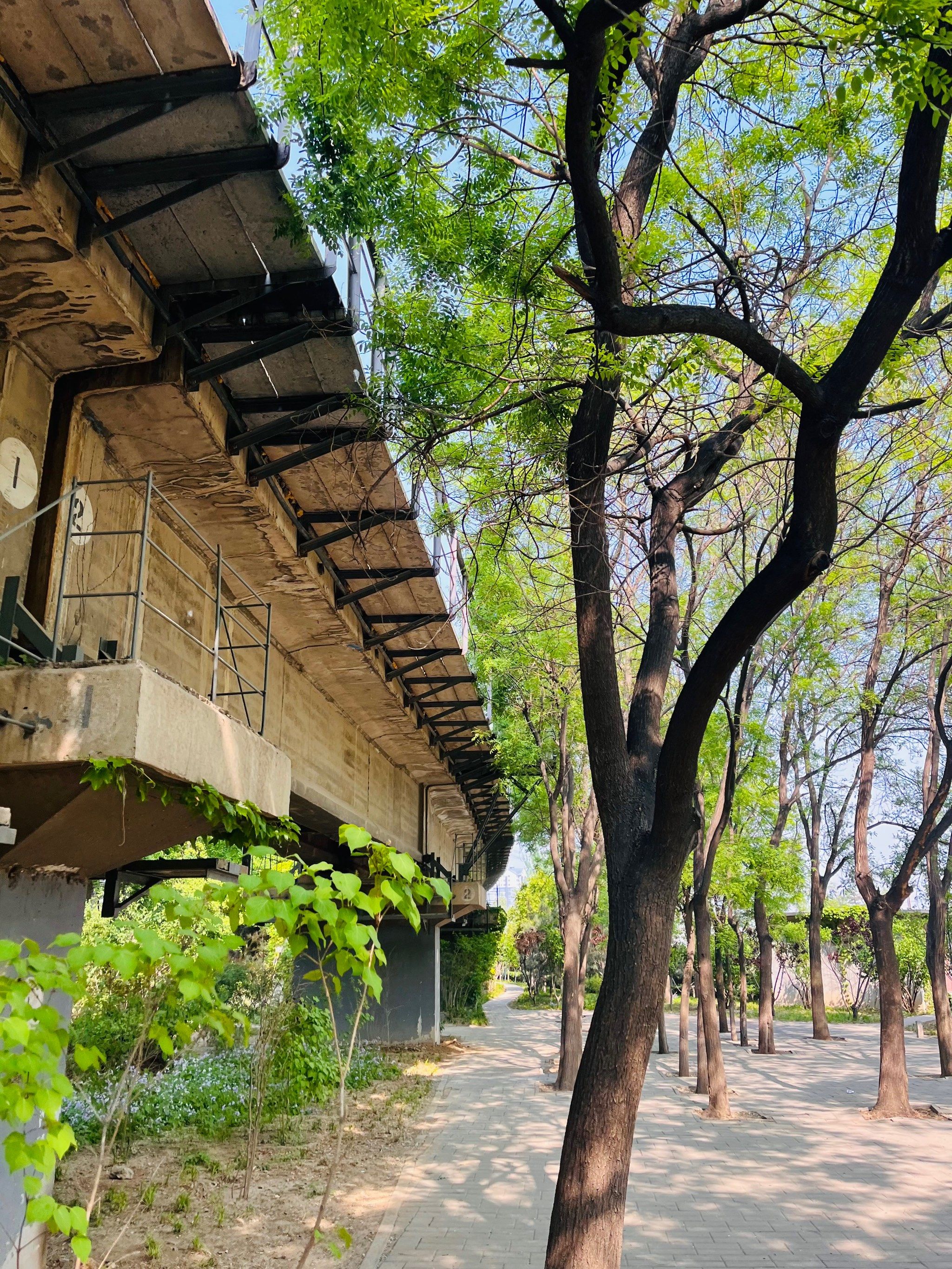 百子湾休闲公园