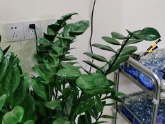 -张钰强中医正骨推拿连锁(唐家人才公寓店)