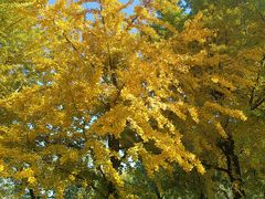 -北京植物园南门售票处