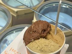 -Dip in Gelato(富民路店)