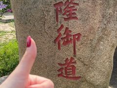 -苏州上方山国家森林公园