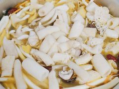 -菌极鲜野生菌火锅店(阳明祠店)