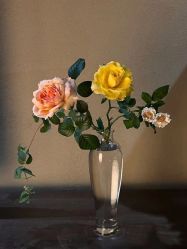 -美肤盾祛痘·问题肌头疗管理中心