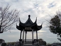 -贡湖湾湿地公园