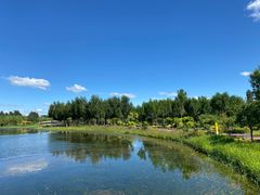 -东郊湿地公园