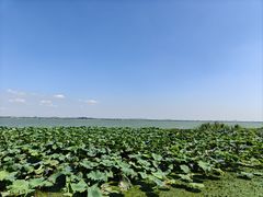 -七的湖·晚芳亭·阳澄湖农家菜·大闸蟹(莲花岛店)