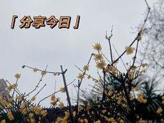 -南京市民俗博物馆(甘熙故居)