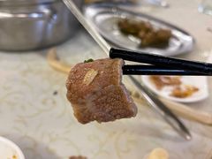 -百利鸽王(紫薇路店)