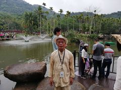 -呀诺达热带雨林