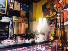 -咖法森林·咖啡  酒吧(天河店)