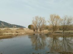 -长广溪湿地公园