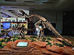 -自贡恐龙博物馆