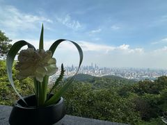 -广州市白云山风景名胜区