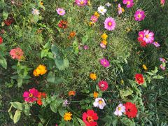 -桤木河湿地公园