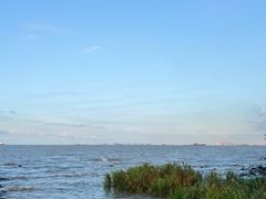 -上海吴淞炮台湾国家湿地公园