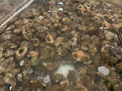 -阔澜蒸汽海鲜自助