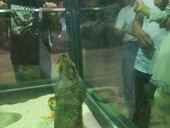 -福州罗源湾海洋世界旅游区