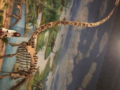 恐龙博物馆-自贡恐龙博物馆