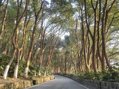 -上海市保健医疗中心(华东疗养院)