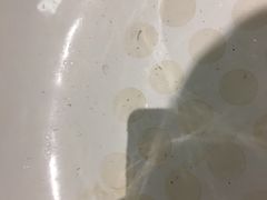 -北京园博大酒店