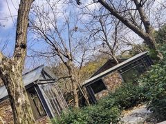 -雨花胜境