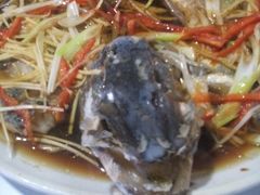 -煲来饱去冷水鱼