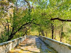 -阳台山自然风景区