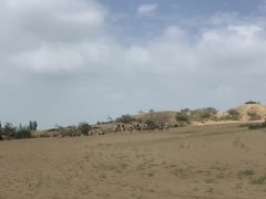 -黄沙古渡原生态旅游区