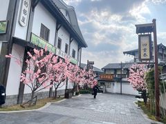 -横店影视城梦幻谷园区