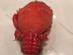 -万达文华酒店·48F云端窗景美食汇自助餐厅