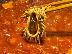 -阳阳老火锅(小南门店)