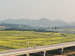 -光明小镇欢乐田园