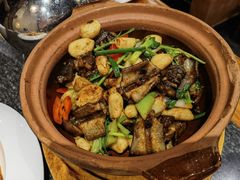 生嗜鳝鱼-老广酒楼(樱花店)